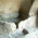 Раннохристиянска скална гробница thumbnail 2