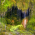 Водопад Совата thumbnail