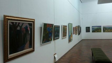 Художествена галерия - Видин