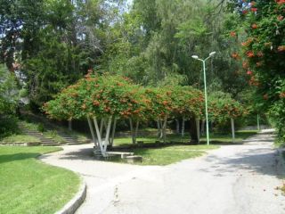 Градски парк - Сандански