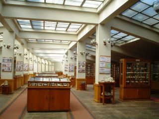 Музей по минералогия, петрология и полезни изкопаеми