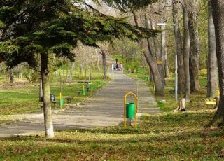 Голубинский лесопарк ясенево фото