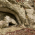 Кара ин (скална гробница) thumbnail 6
