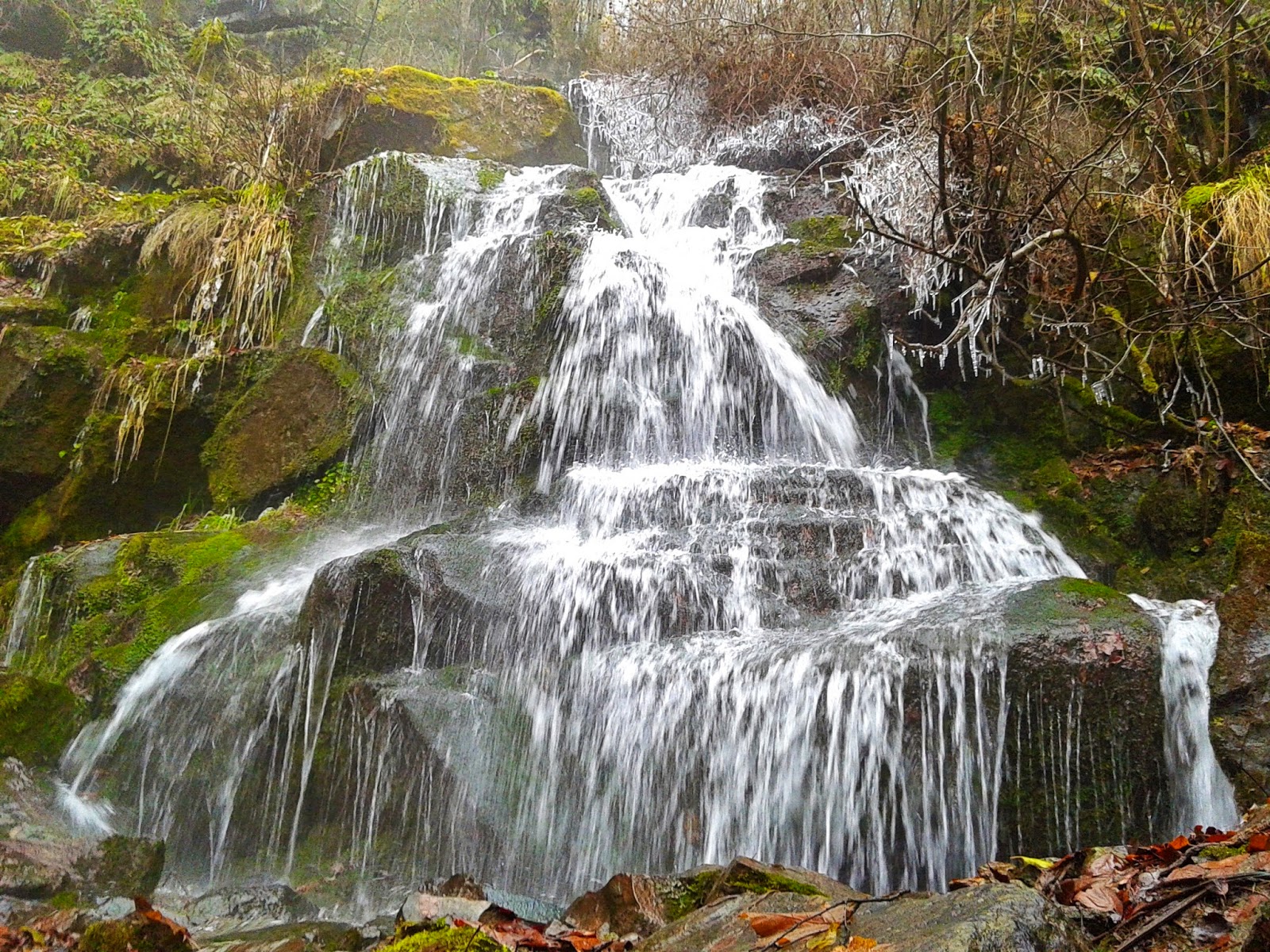 Алековите водопади