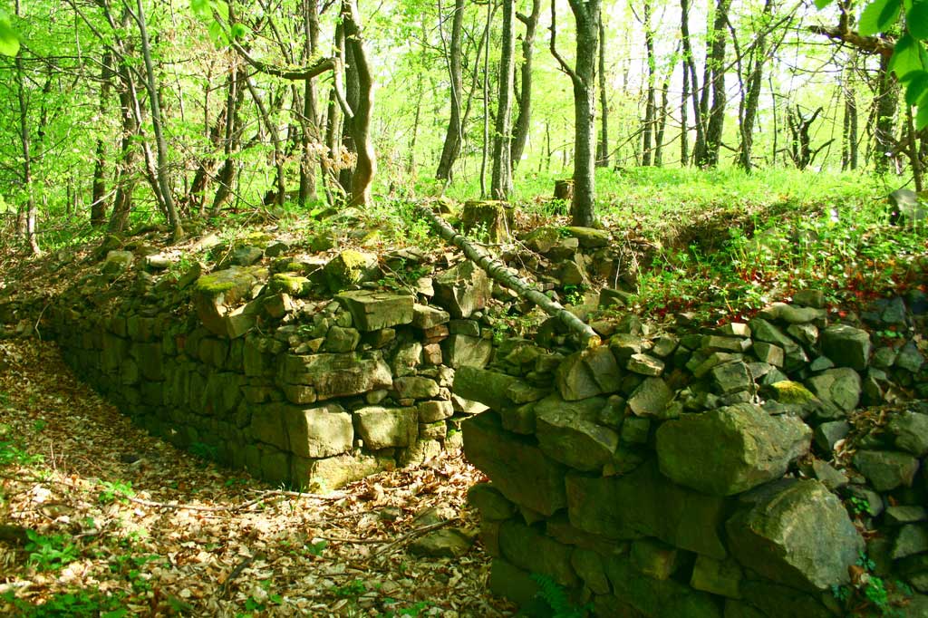 Крепост Ургури