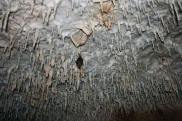 Пещера Зандана