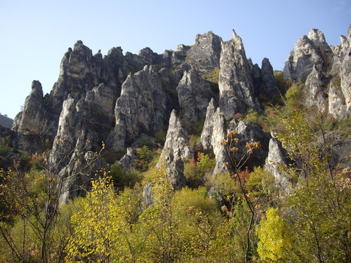 Каньона Шегава