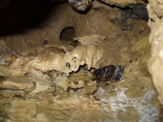Пещера Черните извори