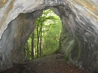 Дряновската пещера