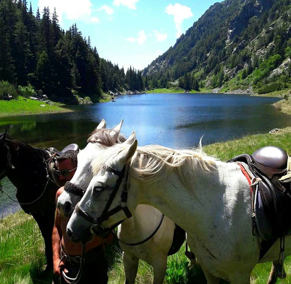 Ранчо аргудан фото