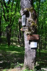 Природен парк Небесните пасбища, Осиковица