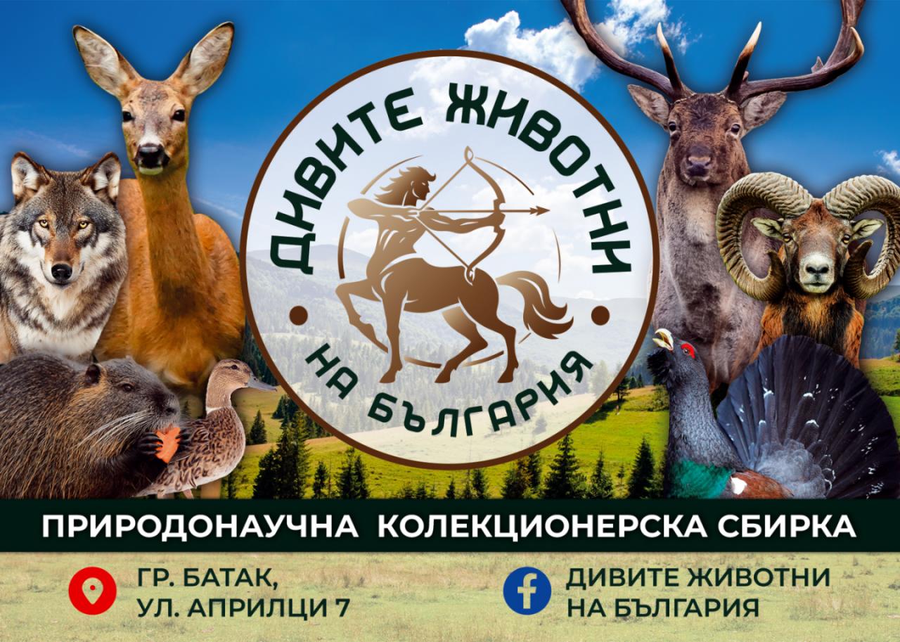 Музей Дивите животни на България, Батак